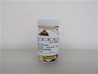 藏品(麻雀)的圖片